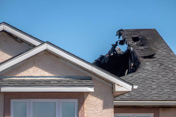 Top rated local Soot Cleanup specialists in Medina, TX